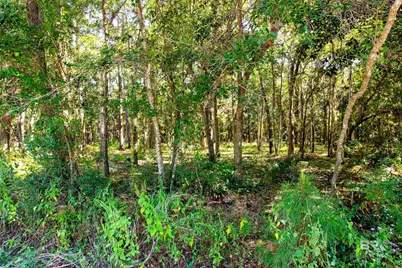 0 Beach Road, Foley, AL 36535 - Photo 3