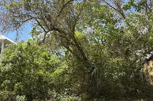 0 Gulf Ave, Orange Beach, AL 36561 - Photo 1