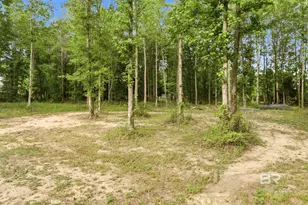 29146 County Rd 68 Ext, Robertsdale, AL 36567 - Photo 51