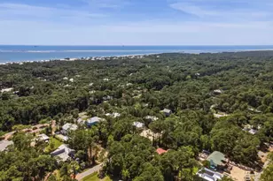 311 Chenault Ave, Dauphin Island, AL 36528 - Photo 39
