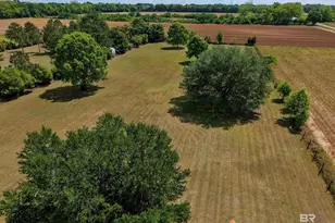 26578 Co Rd 67, Loxley, AL 36551 - Photo 45