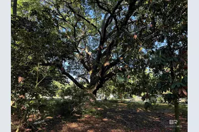 1909 Brill Road, Mobile, AL 36605 - Photo 13
