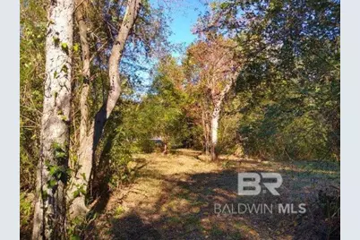 0 New Era Road, Fairhope, AL 36532 - Photo 11