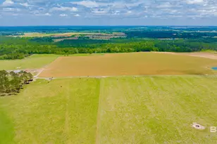 24795A County Road 32, Elberta, AL 36530 - Photo 47