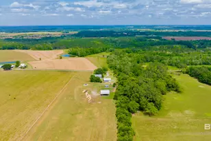 24795A County Road 32, Elberta, AL 36530 - Photo 43