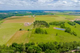 24795A County Road 32, Elberta, AL 36530 - Photo 51