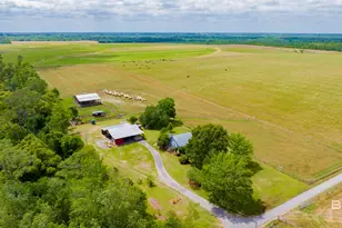 24795A County Road 32, Elberta, AL 36530 - Photo 63
