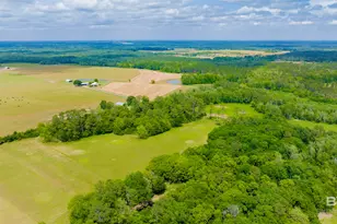 24795A County Road 32, Elberta, AL 36530 - Photo 41