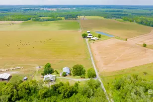 24795A County Road 32, Elberta, AL 36530 - Photo 37