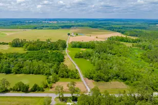 24795A County Road 32, Elberta, AL 36530 - Photo 39