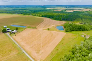 24795A County Road 32, Elberta, AL 36530 - Photo 35