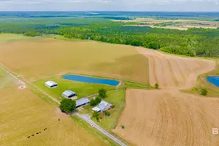 24795A County Road 32, Elberta, AL 36530 - Photo 33