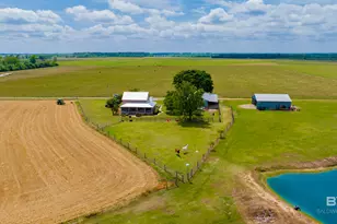 24795A County Road 32, Elberta, AL 36530 - Photo 61