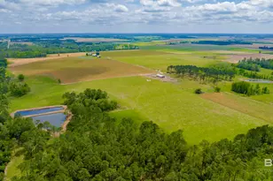 24795A County Road 32, Elberta, AL 36530 - Photo 53