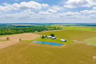 24795A County Road 32, Elberta, AL 36530 - Photo 57