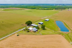 24795A County Road 32, Elberta, AL 36530 - Photo 31
