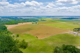 24795A County Road 32, Elberta, AL 36530 - Photo 55