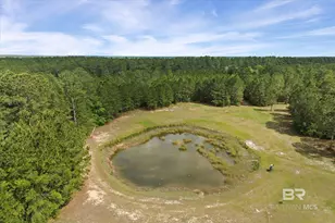 29476 C P Adams Ln, Elberta, AL 36530 - Photo 29