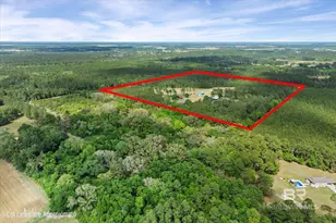 29476 C P Adams Ln, Elberta, AL 36530 - Photo 39