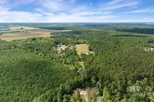 29476 C P Adams Ln, Elberta, AL 36530 - Photo 37