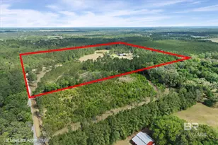 29476 C P Adams Ln, Elberta, AL 36530 - Photo 41