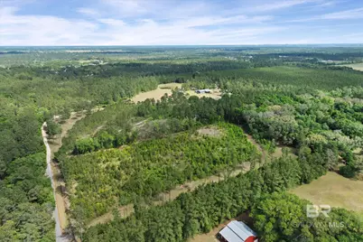 29476 C P Adams Lane, Elberta, AL 36530 - Photo 41