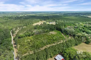 29476 C P Adams Ln, Elberta, AL 36530 - Photo 41