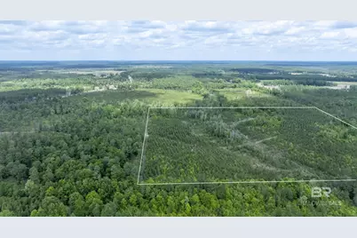 0 Phillipsville Road, Bay Minette, AL 36507 - Photo 7