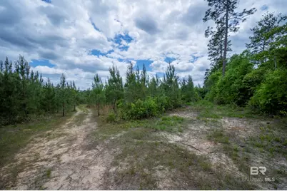 0 Phillipsville Road, Bay Minette, AL 36507 - Photo 23
