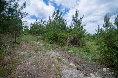 0 Phillipsville Road, Bay Minette, AL 36507 - Photo 19