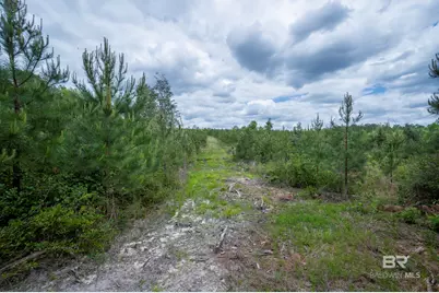 0 Phillipsville Road, Bay Minette, AL 36507 - Photo 25