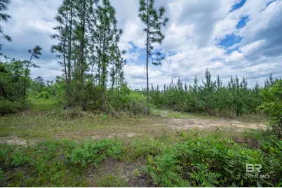 0 Phillipsville Road, Bay Minette, AL 36507 - Photo 17