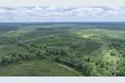 0 Phillipsville Road, Bay Minette, AL 36507 - Photo 9
