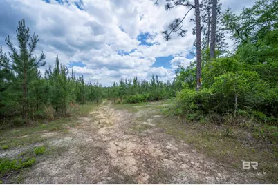 0 Phillipsville Road, Bay Minette, AL 36507 - Photo 21