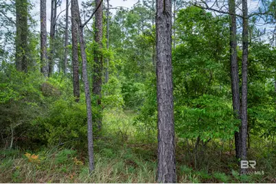 0 Phillipsville Road, Bay Minette, AL 36507 - Photo 15