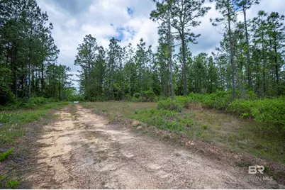 0 Phillipsville Road, Bay Minette, AL 36507 - Photo 19