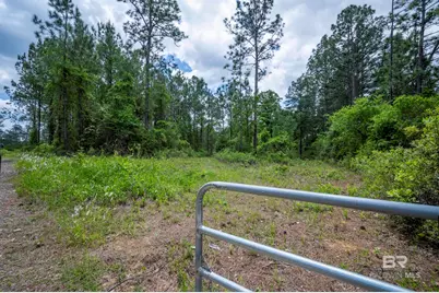 0 Phillipsville Road, Bay Minette, AL 36507 - Photo 17