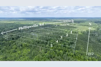 0 Phillipsville Road, Bay Minette, AL 36507 - Photo 3