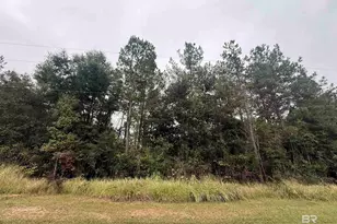 36636 Legacy Wy, Bay Minette, AL 36507 - Photo 1