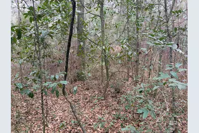 0 Carol Street, Mobile, AL 36608 - Photo 3