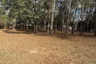 Bunker Loop, Fairhope, AL 36532 - Photo 1