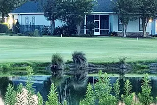 16 Marsh Point, Gulf Shores, AL 36542 - Photo 31