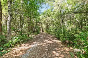 20219 Greek Cemetery Rd, Robertsdale, AL 36567 - Photo 37