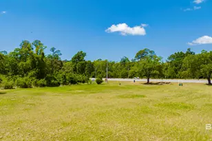 0-4A St Hwy 59, Gulf Shores, AL 36542 - Photo 3
