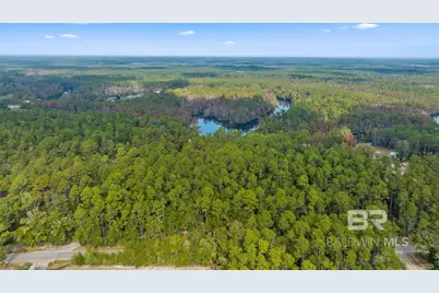 33577 Browns Landing Rd Extension, Seminole, AL 36574 - Photo 7