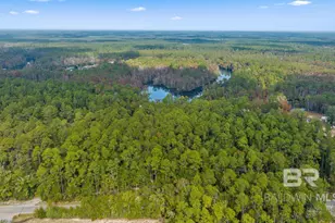 33577 Browns Landing Rd Ext, Seminole, AL 36574 - Photo 7