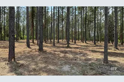 0 Ronald Sanks Road, Bay Minette, AL 36507 - Photo 1
