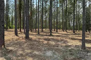 0 Ronald Sanks Rd, Bay Minette, AL 36507 - Photo 1