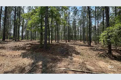 0 Ronald Sanks Road, Bay Minette, AL 36507 - Photo 5