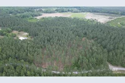 0 Ronald Sanks Road, Bay Minette, AL 36507 - Photo 13